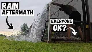 Torrential Rain Hit the Farm &mdash; Are the Animals OK?!