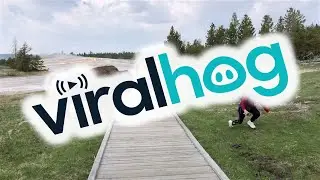 Bison Doesn't Want A Selfie || ViralHog