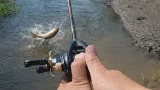 Lure c&aacute; l&oacute;c đồng m&ugrave;a l&uacute;a ch&iacute;nh | C&acirc;u c&aacute; miền T&acirc;y