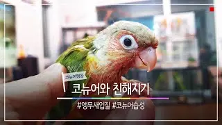 코뉴어의 입질 왜 하는걸까요?