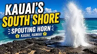 Kauai&rsquo;s South Shore l Spouting Horn And Aloha Market 