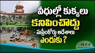 ఢిల్లీ వీధుల్లో కుక్కలు కనిపించొద్దు.. సుప్రీంకోర్టు ఆదేశాలు. ఎందుకు ? | Supreme Court | street dogs