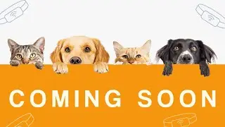 Pet Tech Revolution! Smart Collar & Cat Belt (Coming Soon!) #PetsSmart #PetTech #InnovationForPets