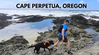 Cape Perpetua, Oregon | TrailRunning, BeachRunning, Giant Spruce, & Camping with my Dog | Episode 1