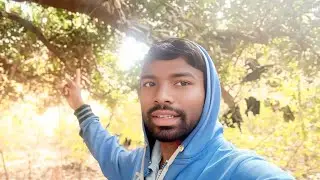 Aadi Marang Khantal (ଆମ ଗଛ ରେ କେତେ ବଡ଼ ପଣସ)/New Santali video/#shorts video #minivlog #vairal 