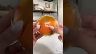 Amazon Must Haves 2021