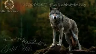 BUDDY FLETT - Blues in a Honky Tonk Key - (BluesMen Channel 
