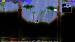 Terraria new beginnings