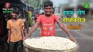 Makhana ki kheti