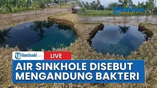 🔴 Air Sinkhole Lima Puluh Kota Mengandung E.Coli, Wagub Sumbar Minta Tak Dikaitkan Mistis