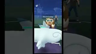 ✨TRIPLE✨ Flying Team Pokemon In Master League 🔥Togekiss🔥 Over Power In Match In Pokemon Go