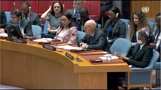 Acting UN Special Representative Briefs Security Council (Elections)