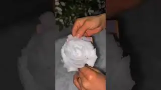 How to make a snow rose in just 25 seconds  - Read more interesting things  