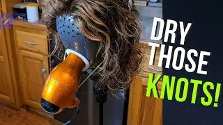 Dry those knots!! Human Hair wig wearing tip