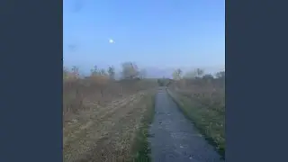 final level