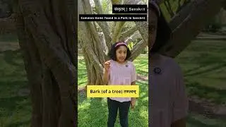 Park Things in Sanskrit &ndash; Part 1 | Learn Everyday Sanskrit for Kids | पार्क की चीज़ें संस्कृत में