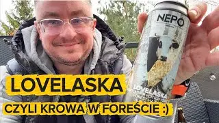 Piwo z krową (na etykiecie) - Lovelaska NEPO Brewing.