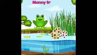 Silly School Songs - Life Cycle of a Frog #learning #shorts #sciencefacts