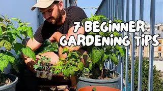 7 Beginner Gardening Tips That Actually Work (Start Small & Avoid My Mistakes!)