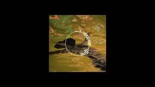 Upbeat Alternative + Indie Rock Type Beat: 
