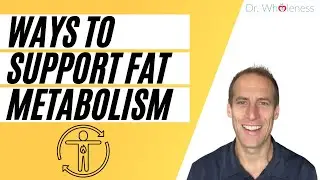 Fat Metabolism Support Products | Inositol, Berberine, Zinc