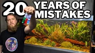 Stop Killing Your Fish: The Biggest Mistakes Fishkeepers Make!