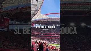 American Pro Basketball Player Experiences Real European Football and Benfica Fans!