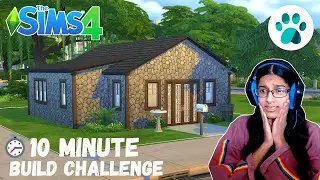 10 minute CATS & DOGS Build Challenge! - Sims 4