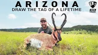 Arizona&rsquo;s Best Elk & Antelope Tags &ndash; Draw the Tag of a Lifetime