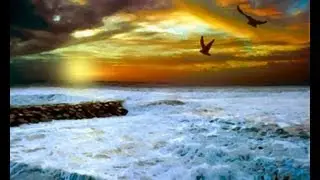 Shaykh Ahmed Ali - The Day Of Judgement (Part 2)