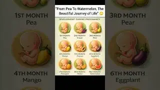 From Pea To Watermelon, The Beautiful Journey of Life