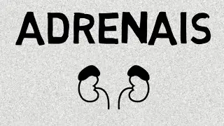 Adrenais