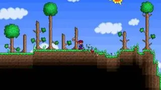 TheAngryBare Does Terraria