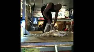 David Fagan, Worlds Fastest Speed Shear! 14.06sec