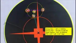 M1A grouping and Long Range Part 2: Iron Sights