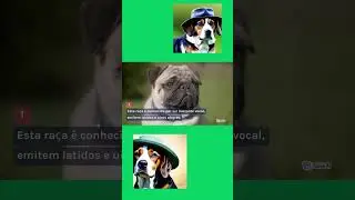 o Beagle &eacute; um cachorro maravilhoso que &eacute; conhecido por sua personalidade amig&aacute;vel