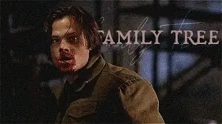 FAMILY TREE (INTRO) ✦ sam winchester