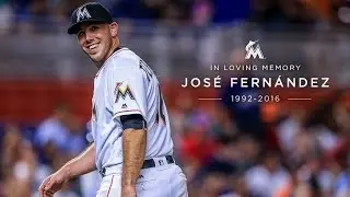 Jose Fernandez Career Highlights