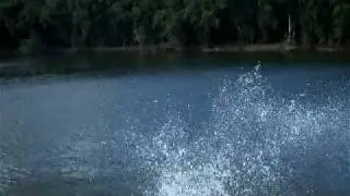 hmow ponds 037.avi