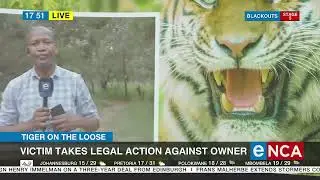 Search for escaped big cat continues