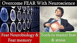 How To CRUSH any FEAR with NEUROSCIENCE | Become FEARLESS | Fear memory formation & extinction