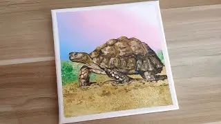 Acrylic painting /How to paint aTurtle /Easy painting Tutorial #149