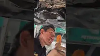 Toyota Corolla Altis + Gear Sentap