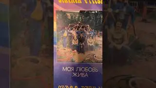 Синяя птица - Знаешь ты #советскаяэстрада /  Хиты 80-х /#Пластинка VINTAGE VINYL
