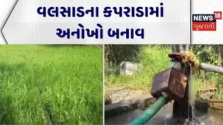 Valsad News | વલસાડના કપરાડામાં અનોખો બનાવ | Kaprada | Gujarat | Gujarati News | News 18 Gujarati