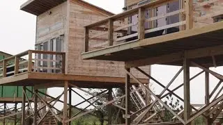 Tiger Safari Tuttle Ok with [New] Treehouse Cabins