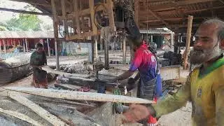 Mango Tree Cutting Small Bunch|| Quality Mango Wood Cutting Sawmill Bangladesh|| Fresh Tree Cut