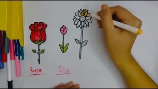Draw Flowers Learn English 🌷Vẽ hoa & học tiếng Anh