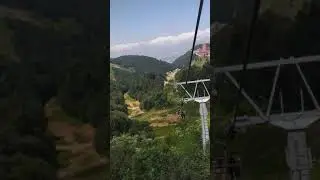 Turkey forest