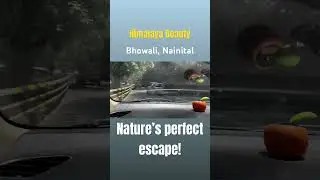 Exploring Bhowali Hill: A Quick Travel Adventure!